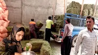 Piya news related to Ghadir's release؛ Buying hay for cows