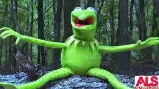 Kermit the Frog - PONPONPON