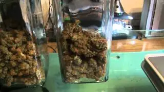 CFL-Harvest numbers!