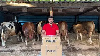KESİM BIÇAKLARIMIZ GELDİ / GÜNLÜK İŞLER 71