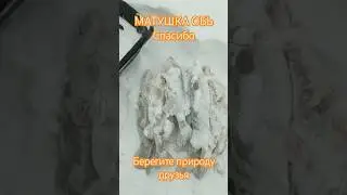 Зимняя ловля СУДАКА #рыбалка #рыбалканаоби #ловлясудака #зимняярыбалка