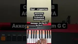 Михаил Круг - Студентка. Как играть на пианино. 