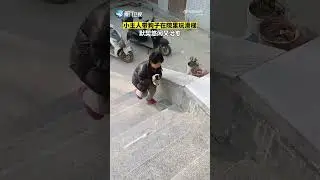 【大陸】治癒！萌娃帶狗狗台階上玩滑梯默契十足