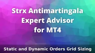 Antimartingala, Static and Dynamic Orders Grid Sizing