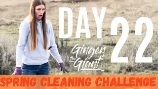 DAY 22 - Spring Cleaning CHALLENGE