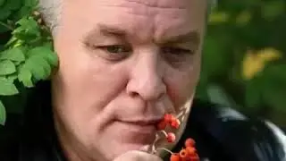 Александр Дюмин - Человек с гитарой