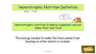 L.C. Biology Bacterial Nutrition