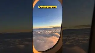 Как думаете, куда?
