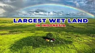 Keindahan Alam Papua Indonesia | Jelajah Taman Nasional Wasur Merauke (ENGLISH SUBTITLE)