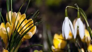 СП Ликвидация 5 Неделя 8 Дари людям чудо с @anna_poloznyak