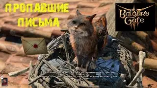 BALDURS GATE 3 ГДЕ НАЙТИ ПРОПАВШИЕ ПИСЬМА ★ ПОИСК ГОЛУБЕЙ ★ ГАЙД & ТУТОРИАЛ ★ ВОРОТА БАЛДУРА III