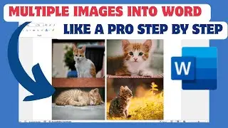 How to Insert Multiple Images Into Word Like a Pro Step by Step 