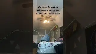 Vicious blanket monster tries to steal cat pt.2 #edit #capcut #cat #funny #animals