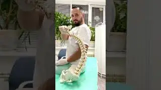 Правильная осанка / Учимся  правильно сидеть