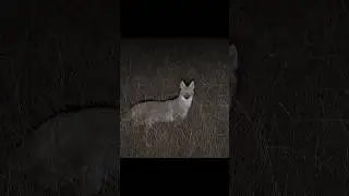 отличный выстрел с близкого расстояния 