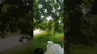 витамин радости
