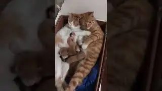 Família e tudo !!!!