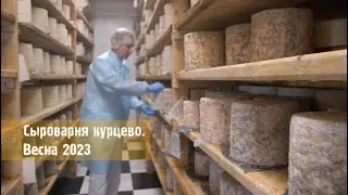 КУРЦЕВО. Мы варим вкусный сыр