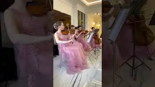 #edsheeran #perfectsong #stringquartet #violins  #струнныйквартет #music #музыка