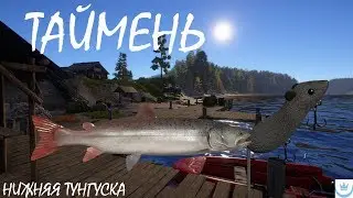Русская рыбалка 4 (РР4)- ДЕНЬ 7-Й ИЩЕМ ТРОФЕЙ ТАЙМЕНЬ УКУСИ МЫШКУ ТУНГУСКА