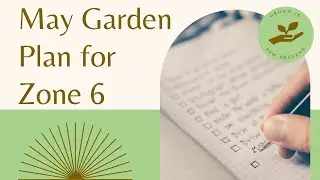 May Garden To-Do List for Zone 6 🌱 | Simple Steps to Avoid Overwhelm