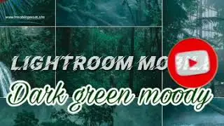 Tutorial edit foto ala selebgram efek |Dark Green Moody|Lightroom Mobile