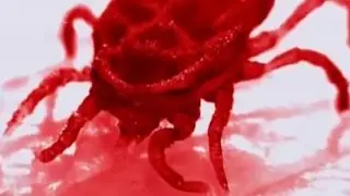 Атака насекомых Кровопийцы