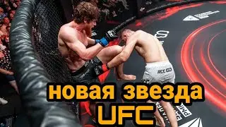 ДАГЕСТАНСКИЙ НОКАУТËР!!!! Топ 5 раз когда Шарабутдин Магомедов шокировал мир