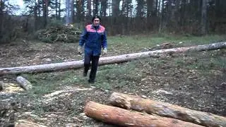 MOV00006