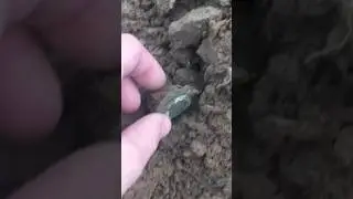 НАШЁЛ РЕДКИЙ ЗНАЧОК СССР!!!