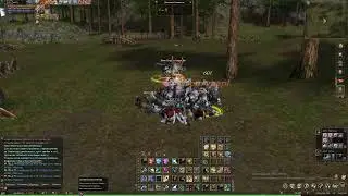 Lineage 2. А если, что тут снимать? Офф. сервер.