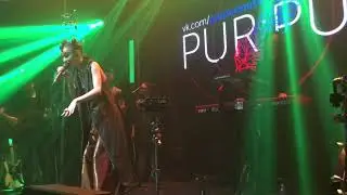 Pur:Pur - Медведь