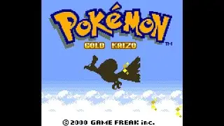 Pokemon Gold Kaizo | Hardcore Nuzlock | Episode 2: The Real Challenge Starts