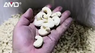 AMD  P- LQS4  CASHEW  SORTING/SORTEX/SORTER MAACHINE With Deep Learning Technology.