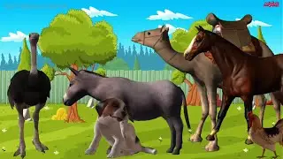 أصوات وأسماء الحيوانات للاطفال باللغة الألمانية / Die Namen und Laute von Tieren auf Deutsch lehren