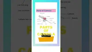 parts of cannula//#cannula//#eduhelphand //#nursing//#shorts//#partsofcannula//@mostviralshort