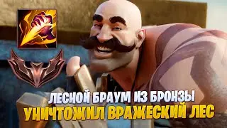 ЛЕСНОЙ БРАУМ УНИЧТОЖИЛ ЛЕС  || ЖЕЛЕЗНЫЕ ПРИКЛЮЧЕНИЯ