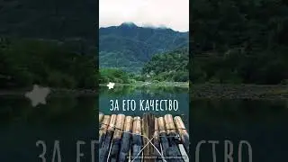 Лучший день