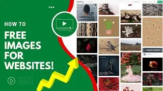 Free Images for Website Use Without Copyright
