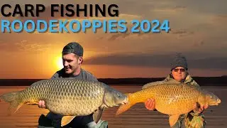 Roodekoppies session 2024 ! Wild Water Carp Fishing.