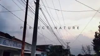 Cinematic Nature | Cinematic simple | Cinematic Alam