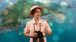 Robert Louis Stevenson "Travel". Персонаж A traveller