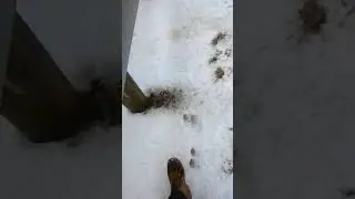 UNBELIEVEABLE! Mysterious Creature Leaves HUGE Footprints In The Snow In Reynoldsburg Ohio!