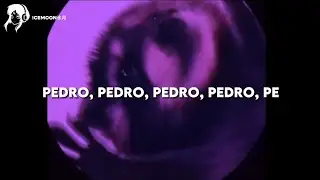 música VIRAL do meme do GUAXINIM que fala "Pedro Pedro Pedro Pedro Pe" (tradução) "tiktok song"