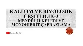 10. Sınıf Kalıtım ve Biyolojik Çeşitlilik - 3  (Mendel İlkeleri ve Monohibrit Çaprazlama)