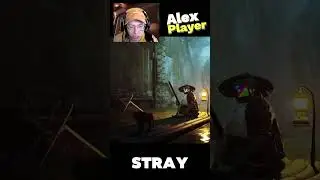 Котик в канализации Stray