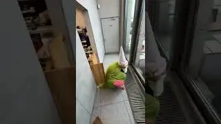 They way they dont even care