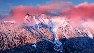 Wonderland - M83 - Wait