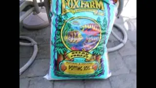 Frugal Tips on Labeling and Planting Organic Seeds Save Money Grow More Food