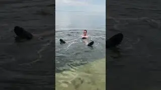 соленое озеро